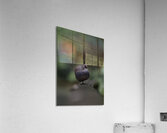 California Quail Acrylic Print
