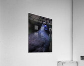Kokako Acrylic Print