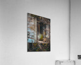 Barred Owl Acrylic Print