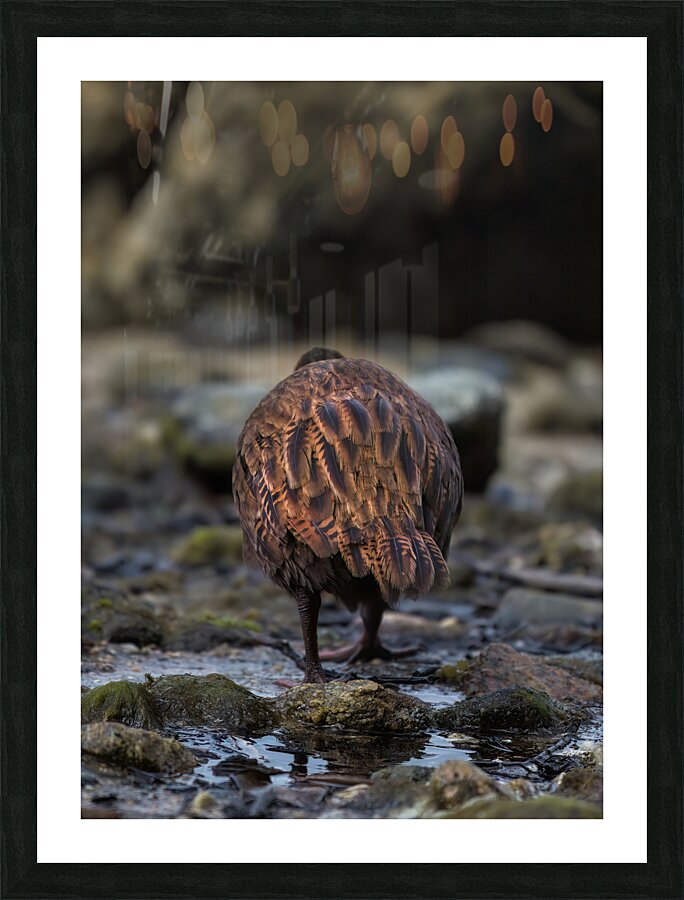 Weka Picture Frame print