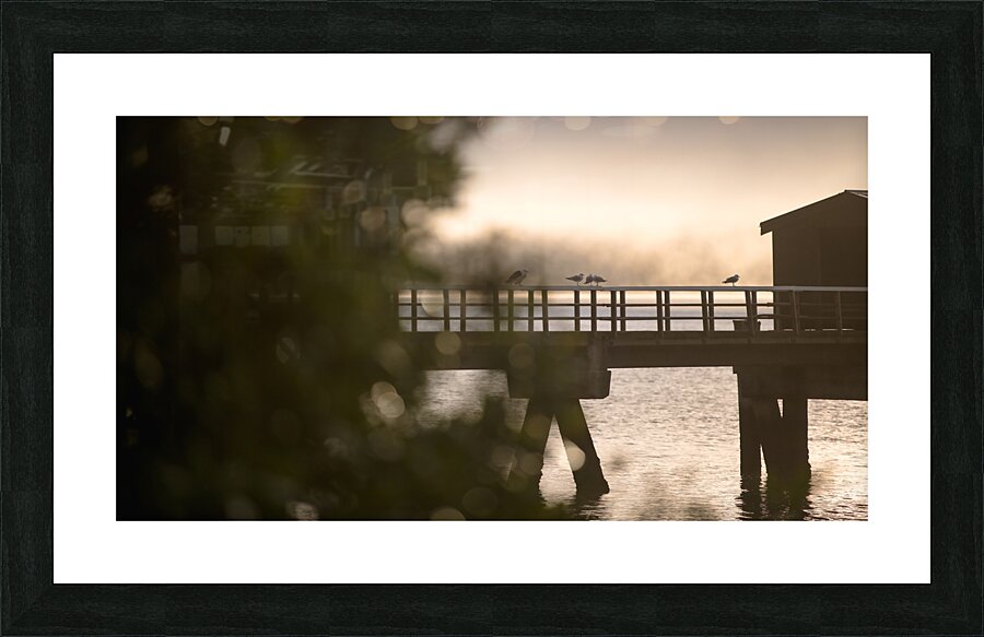 Kohukohu Picture Frame print