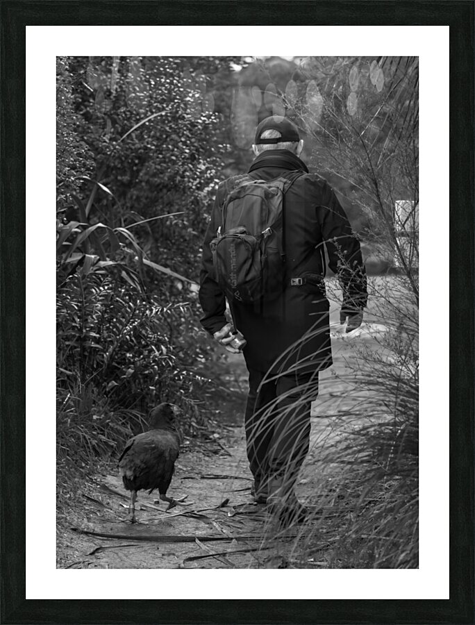 Alan & Orbell Picture Frame print
