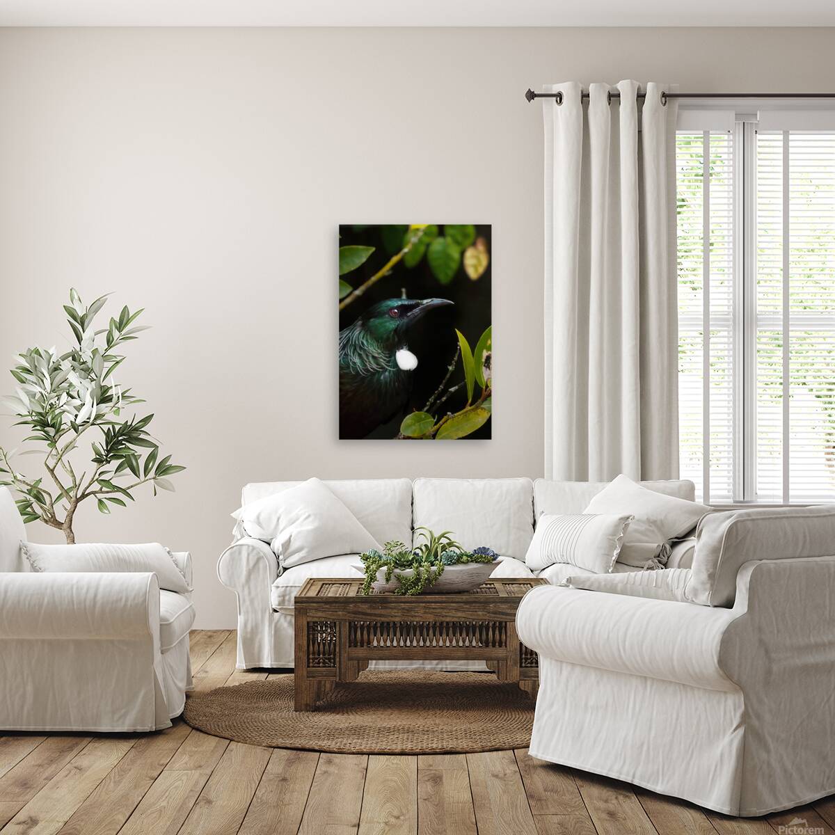 Tui Reproduction