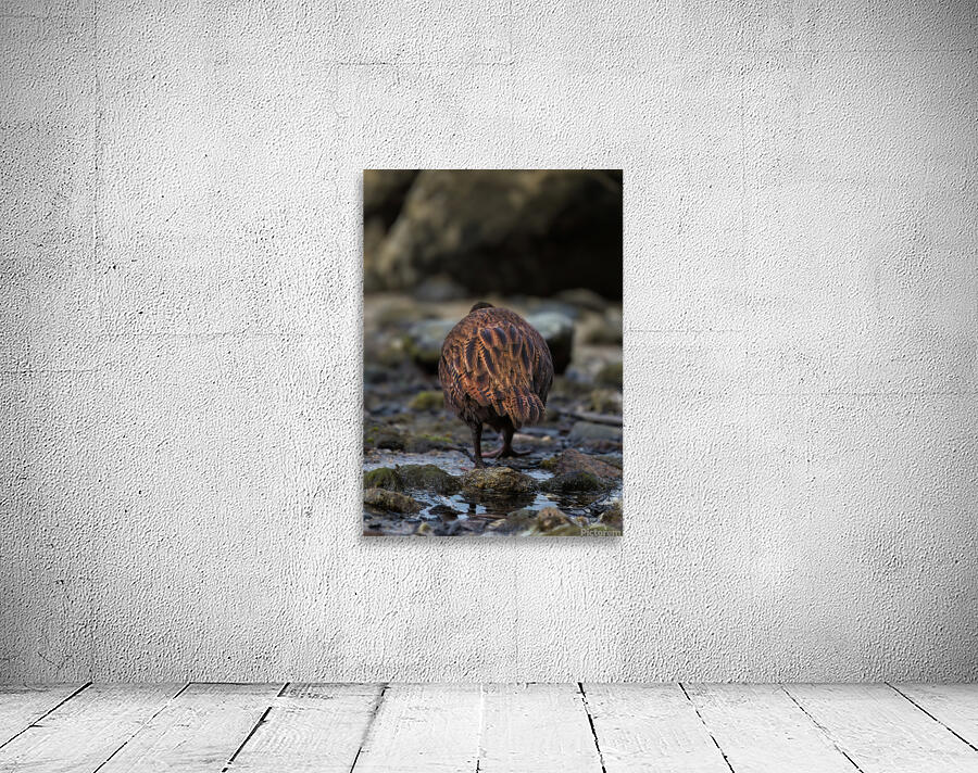 Weka Wall Preview