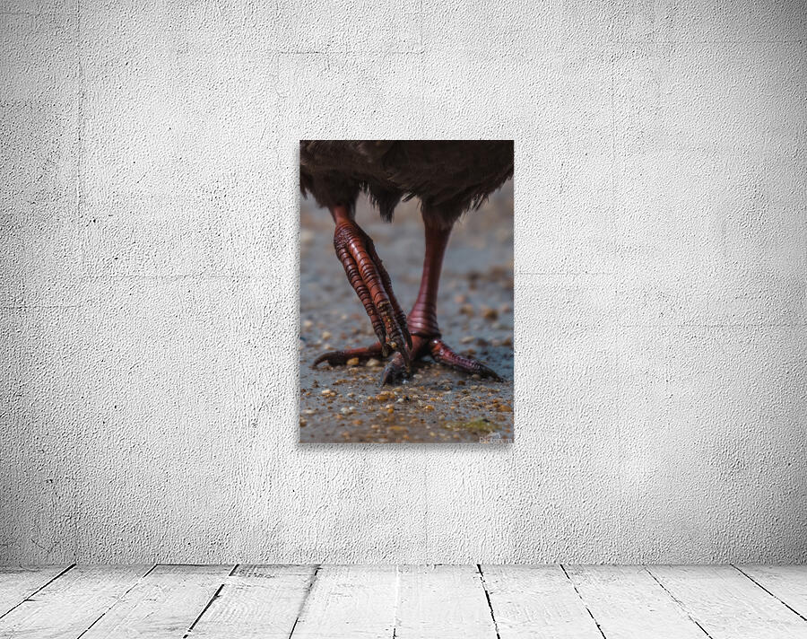 Weka Wall Preview