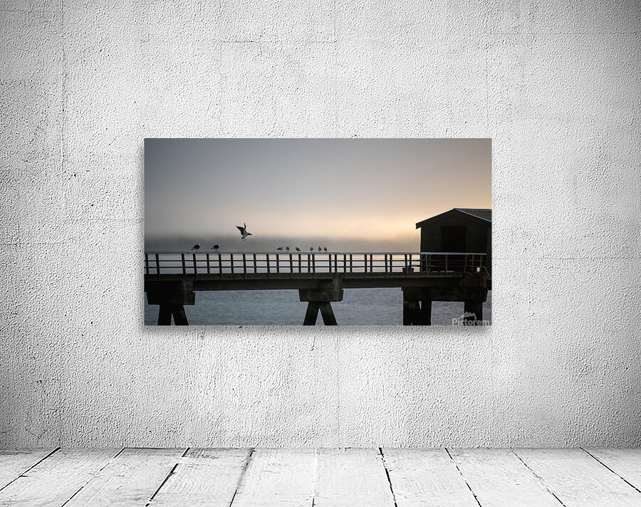 Kohukohu Wall Preview