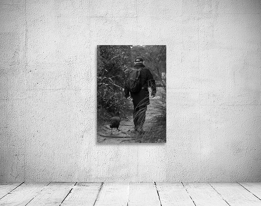 Alan & Orbell Wall Preview