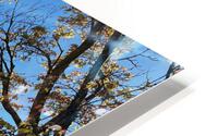 From the Rooftops  HD Metal print