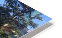 Kalamalka Lake HD Metal print