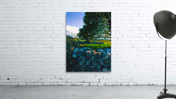 Irish Countryside Wall Preview