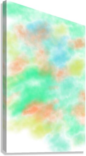 ABSTRACT PAINTING 38 Canvas Print