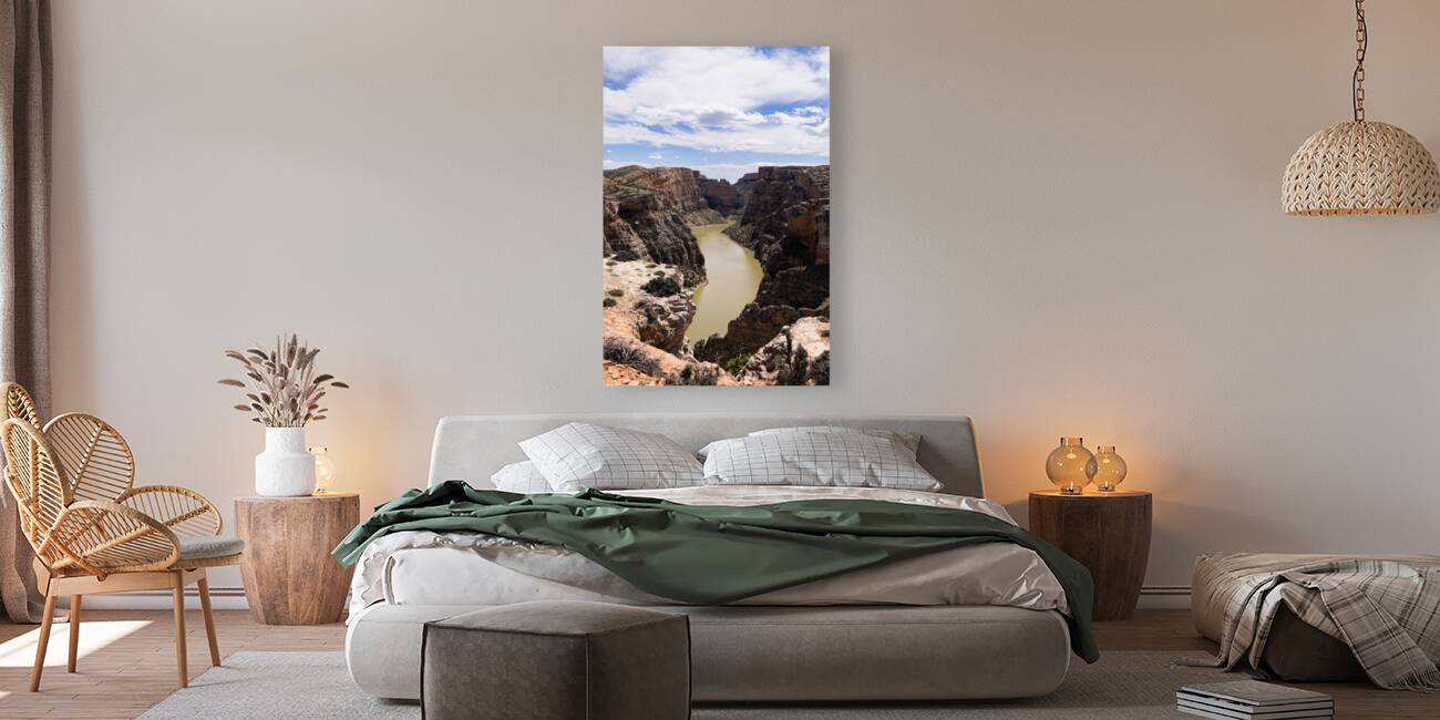 Bighorn Canyon Reproduction