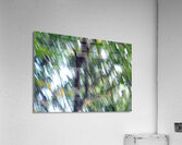 Dynamism in Life Acrylic Print
