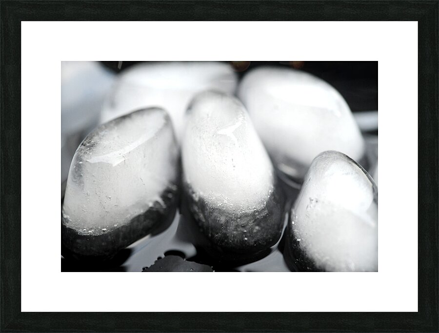 Life has Many Forms 3 Picture Frame print