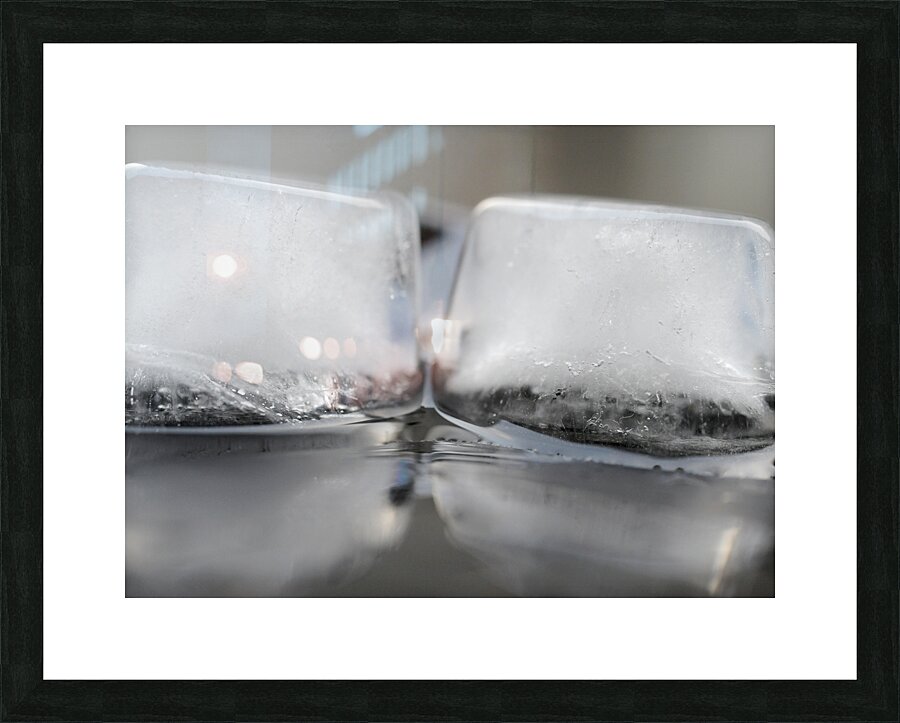 Life has Many Forms 5 Picture Frame print