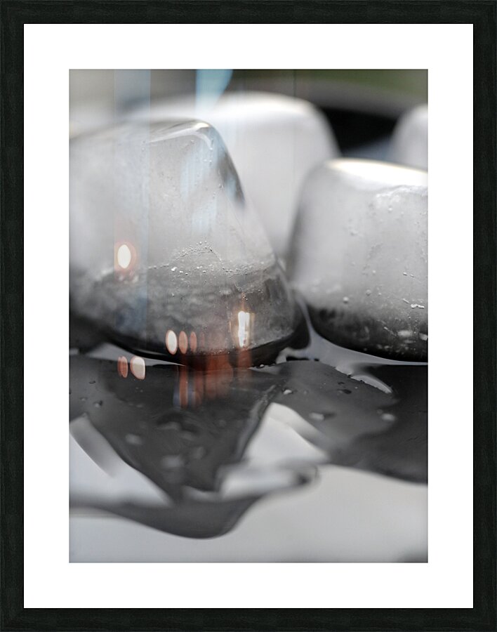 Life has Many Forms 2 Picture Frame print