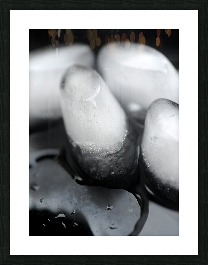 Life has Many Forms 1 Picture Frame print