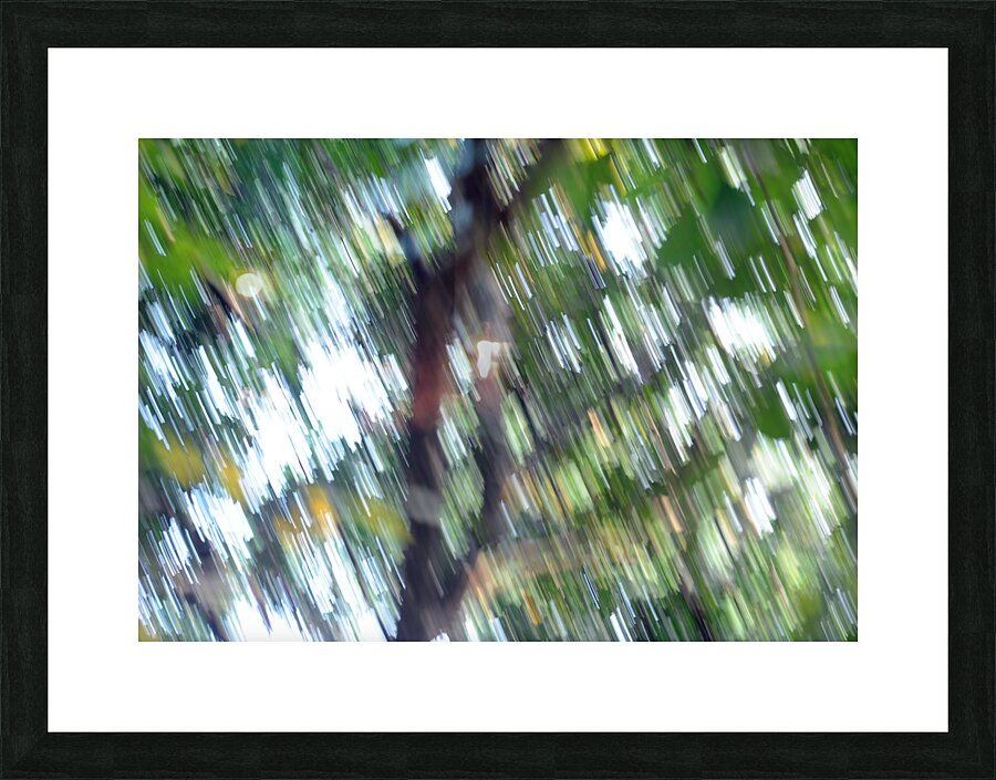Dynamism in Life Picture Frame print