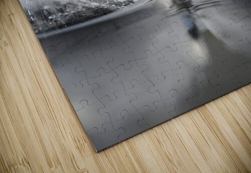 Life has Many Forms 5 Ismat Jahan puzzle