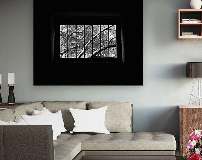 Window to Dreamland by Ismat Jahan