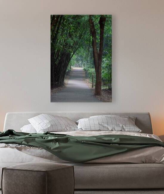 Bamboo Bush Covering a Path 2 by Ismat Jahan