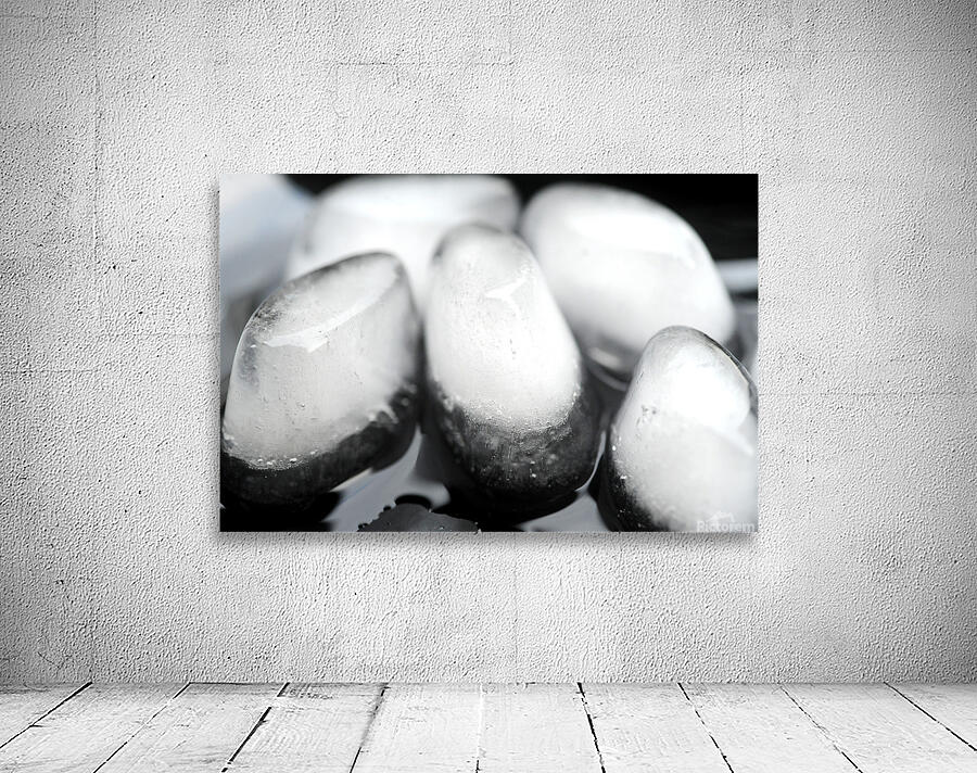 Life has Many Forms 3 Wall Preview