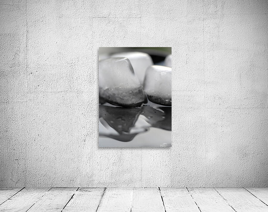 Life has Many Forms 2 Wall Preview