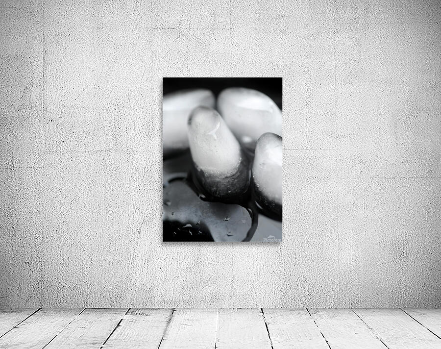 Life has Many Forms 1 Wall Preview