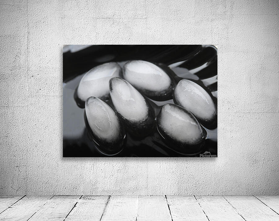 Life has Many Forms 4 Wall Preview