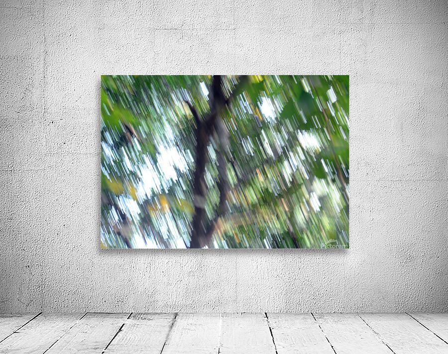 Dynamism in Life Wall Preview