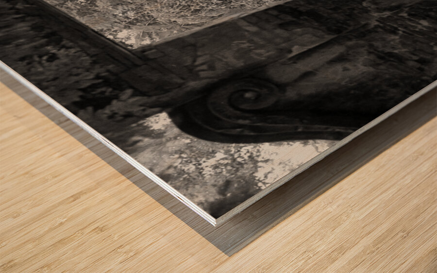 Dreamworld Wood print