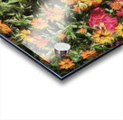 Floral Explosion Acrylic print