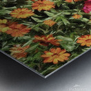 Floral Explosion Metal print