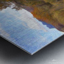 Autumns Last Stand  Metal print