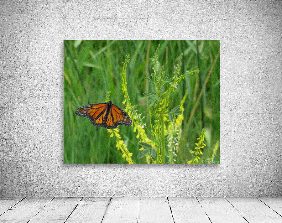 Monarch Summer Wall Preview