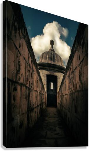 Simetria Garita Canvas Print