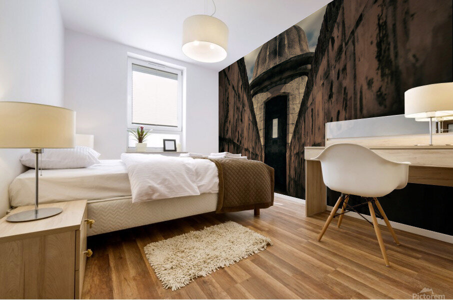 Simetria Garita Mural print