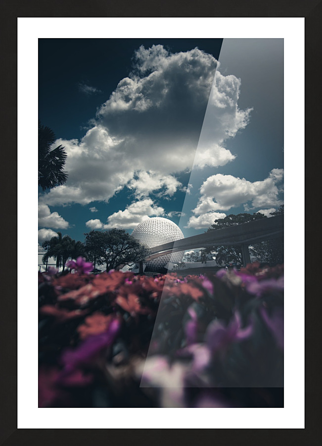 Spaceship Flowers  Picture Frame print