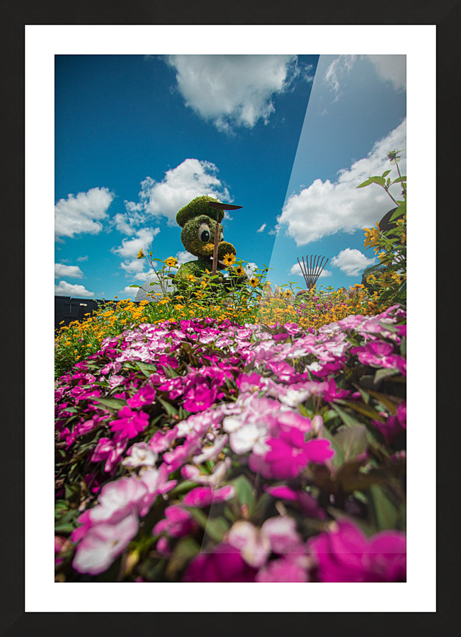 Donald Gardener  Picture Frame print