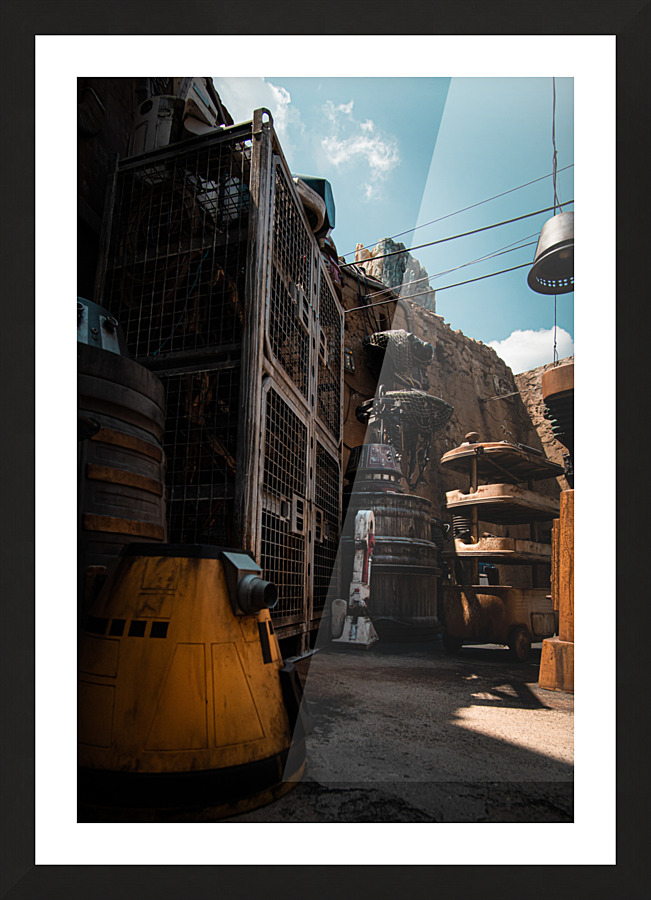 Drone Depot Picture Frame print