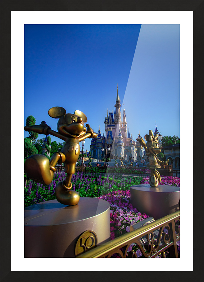 MagicKingdom 1 Picture Frame print