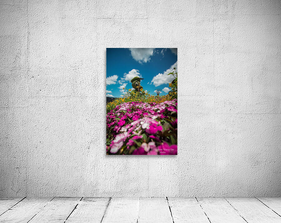 Donald Gardener  Wall Preview