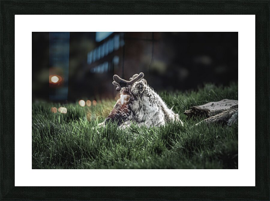 Break Picture Frame print