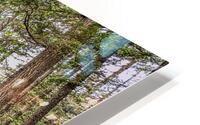 Metal canva HD Metal print