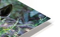 Maternal protection HD Metal print