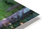 Babys gaze HD Metal print