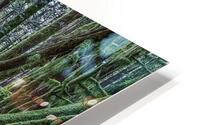 Pluvial HD Metal print