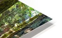 The path HD Metal print