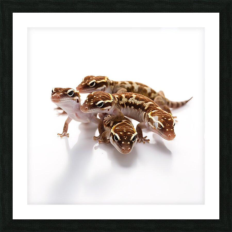brown spotted gecko reptiles isolated 1 Picture Frame print
