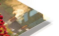 roses background 3 HD Metal print